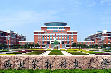 企业风采标题4
